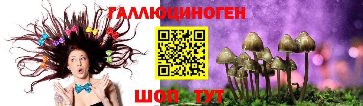 Верхняя Салда  Галлюциногенные грибы Cubensis  Вход с VPN  Псилоцибиновые грибы Magic Shrooms 